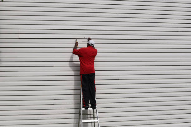 Best Fiber Cement Siding Installation  in Washoe Valley, NV