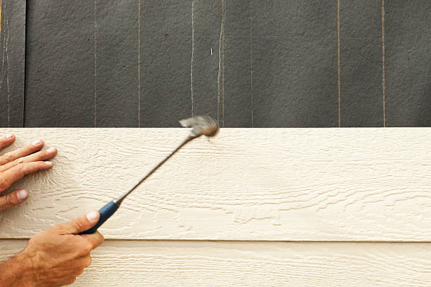 Best Siding Removal and Disposal  in Washoe Valley, NV