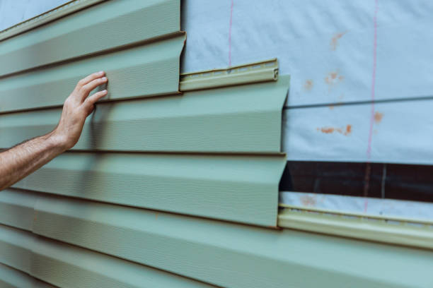 Affordable Siding Repair and Maintenance Services in Washoe Valley, NV